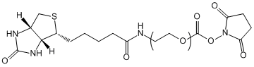 Biotin-PEG-NHS.gif Biotin-PEG-NHS.gif